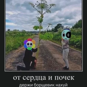 Денди Треш №35
