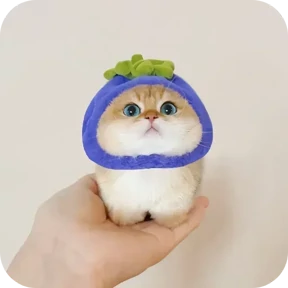 Котики в шапочках №6