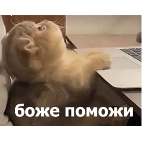 Пупупу №11