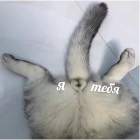 Пупупу №18