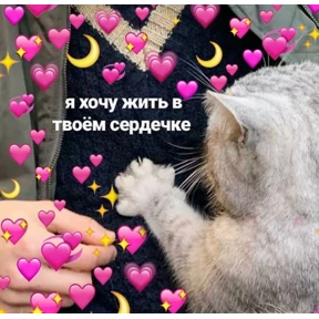 коты2 №3