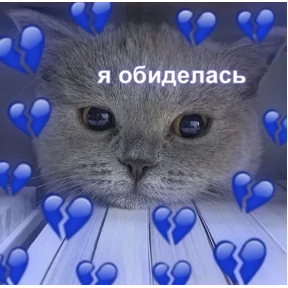 коты2 №18