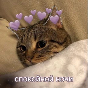 коты2 №70