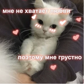 коты2 №79