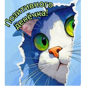 Моё №6