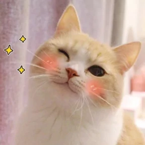 Котики №42
