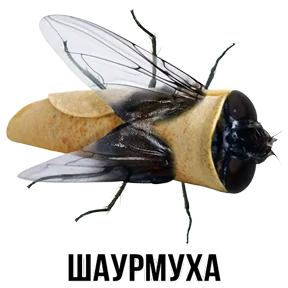 Звери №9