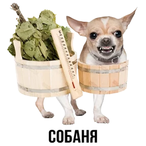 Звери №19