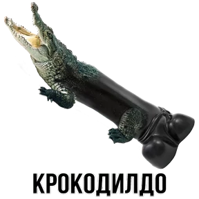 Звери №25
