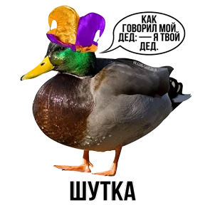 Звери №27