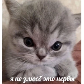Для родных №11