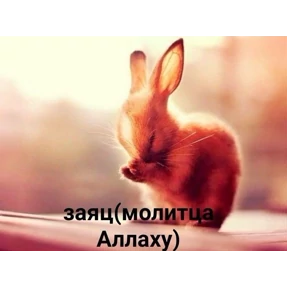 Для родных №35