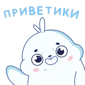 Тюленим №19