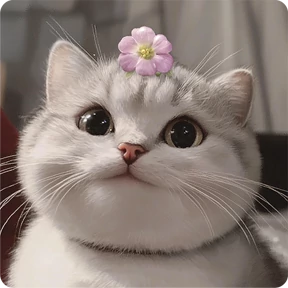 Котаны №8