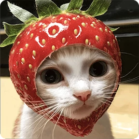 Котаны-2 №40