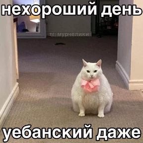 Чилл герл №15