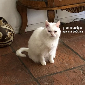 Ответ на серьёзный вопрос №17