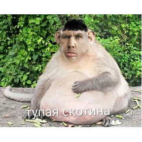 Все №8