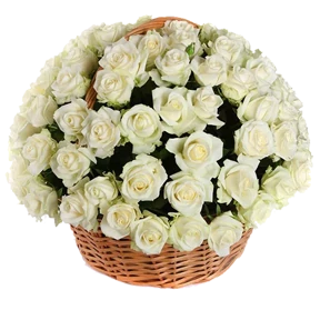 Туся Цветы №73