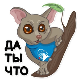 Галаго Демидова №8