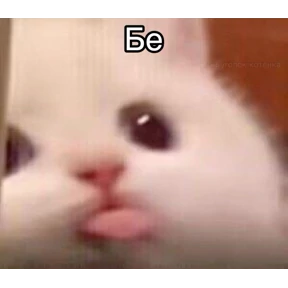 Бе №5