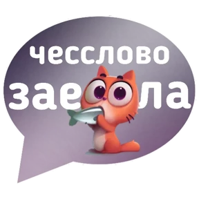 Котик от iimax.ru-NaumkaPak №20