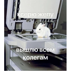 Memes №8