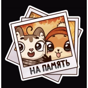 Китикет №47