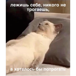 Мем-пак №6