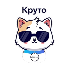 Кот Манеж №8