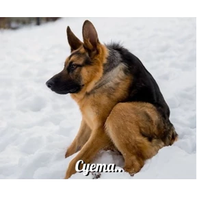 забыл №6