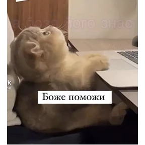 Муд №9