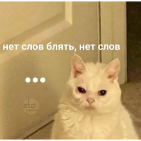 liookkl №28