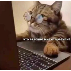 Котики №42