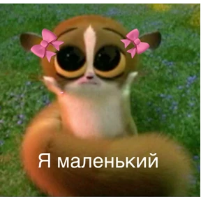 Львята №9