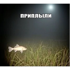 Львята №15