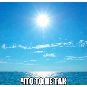 Львята №16