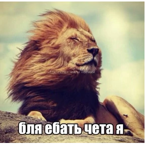 Львята №30