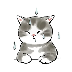 Котики №4