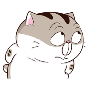 Ami fat cat №13