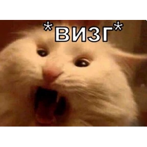 Котики №11