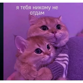 Мими Кити №16
