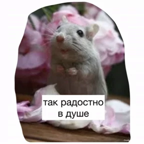 Крысим №10