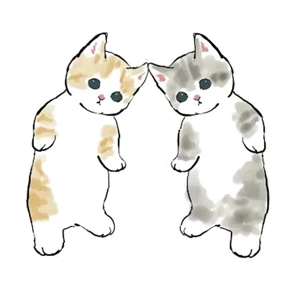 Котики №8