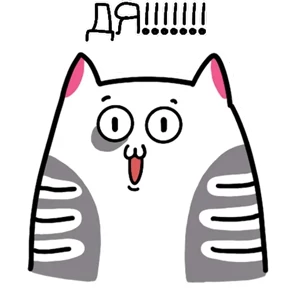 Котэ №10