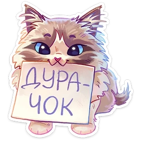Стелла №12