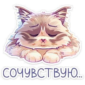 Стелла №36