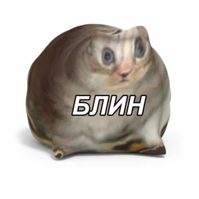Кошаки №13