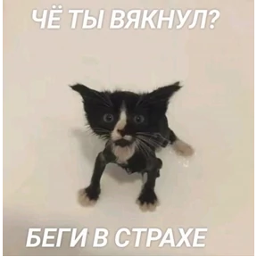 Кошаки №14