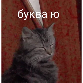 Кошаки №95